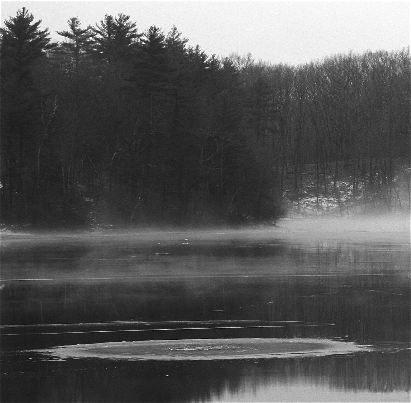 One of Walden Pond’s “magic circles,” a hole in the glaze of ice allowed an upwelling of  water that froze overnight.